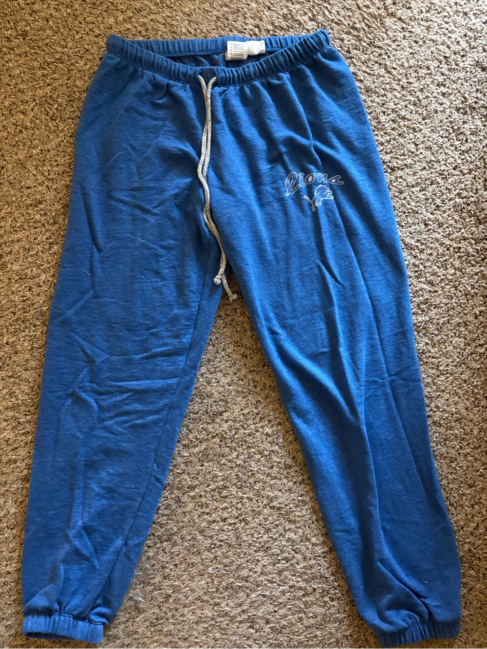 Blue Women's Plush Lounge Pajama Pants